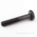 Customized Black Oxide Square Head T Type Bolts